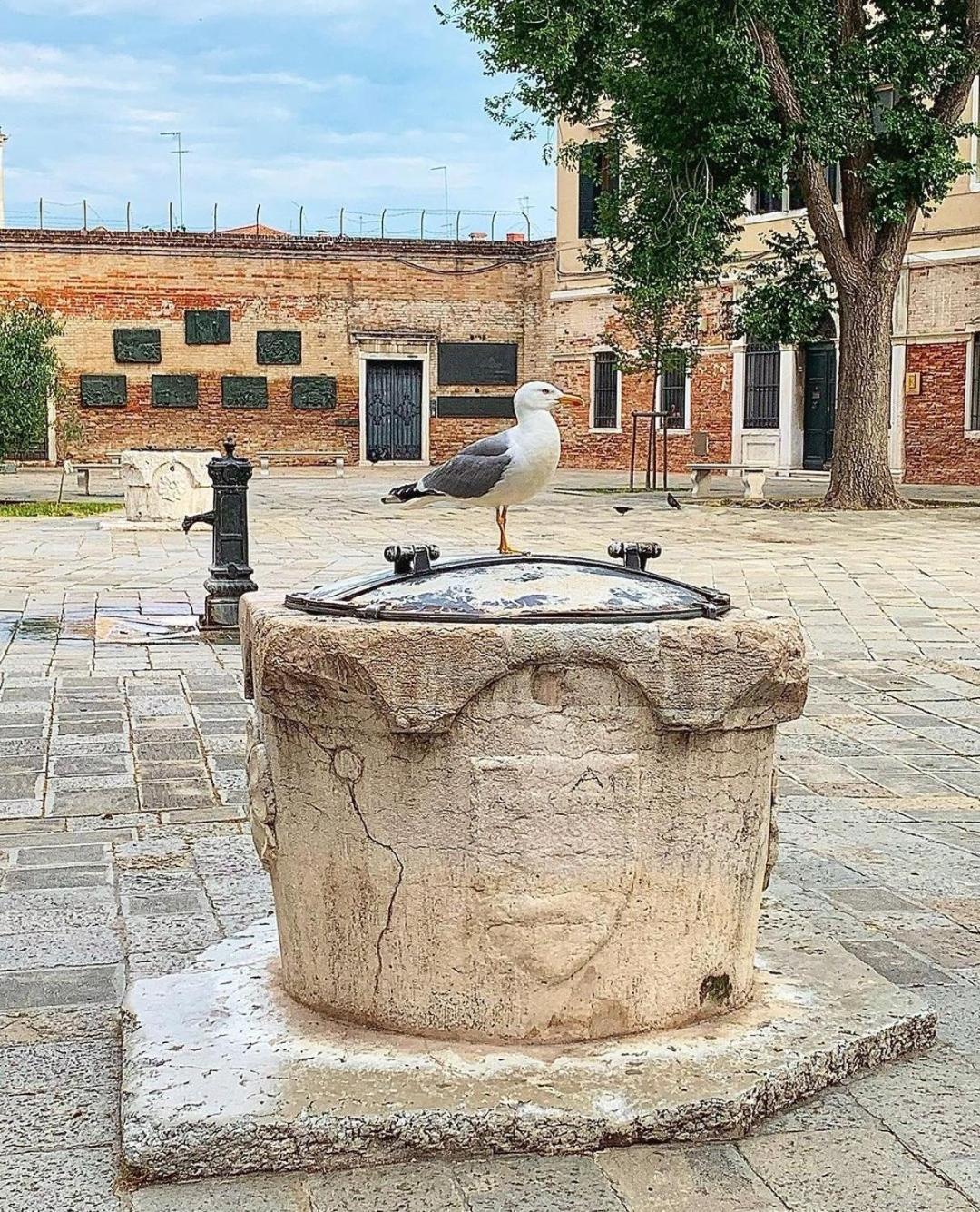 Ca'rosa Venetië
